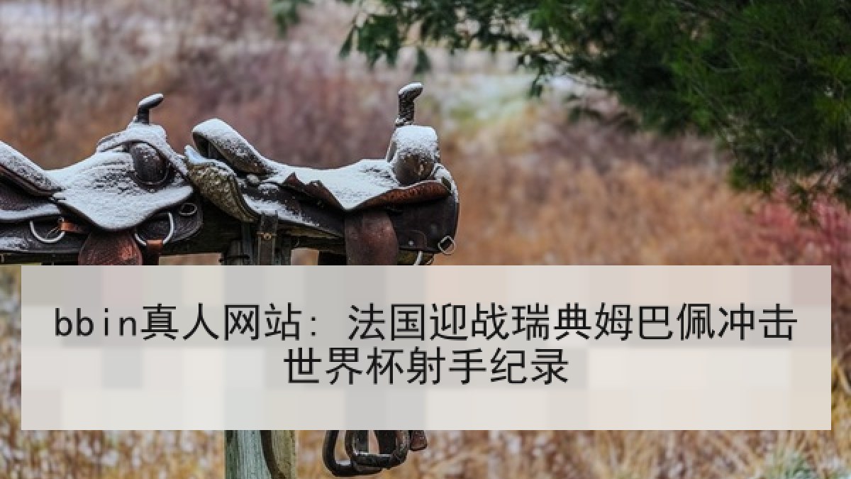 bbin真人网站: 法国迎战瑞典姆巴佩冲击世界杯射手纪录