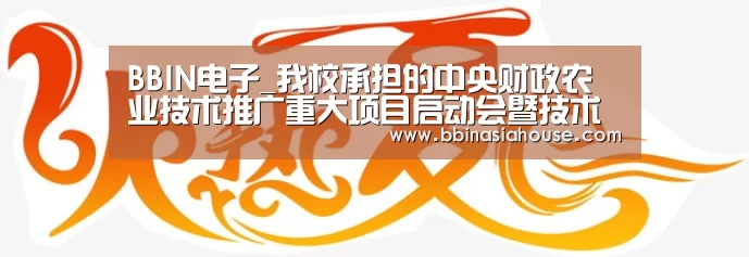 BBIN国际厅