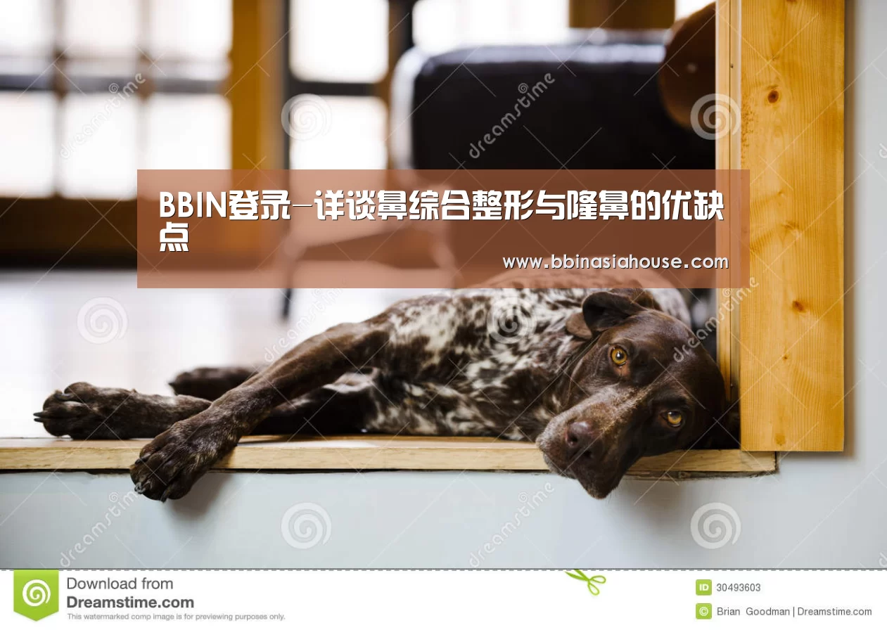 BBIN国际厅