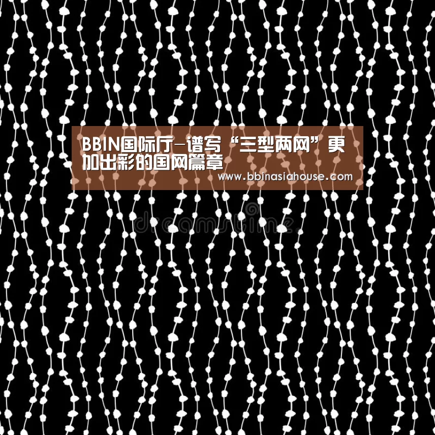 BBIN国际厅-谱写“三型两网”更加出彩的国网篇章