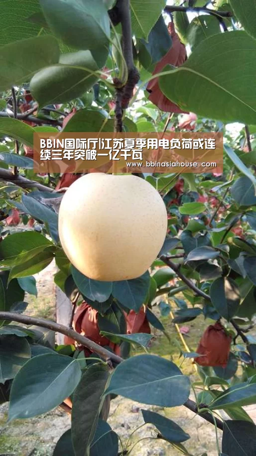 BBIN登录