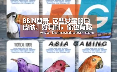 BBIN登录