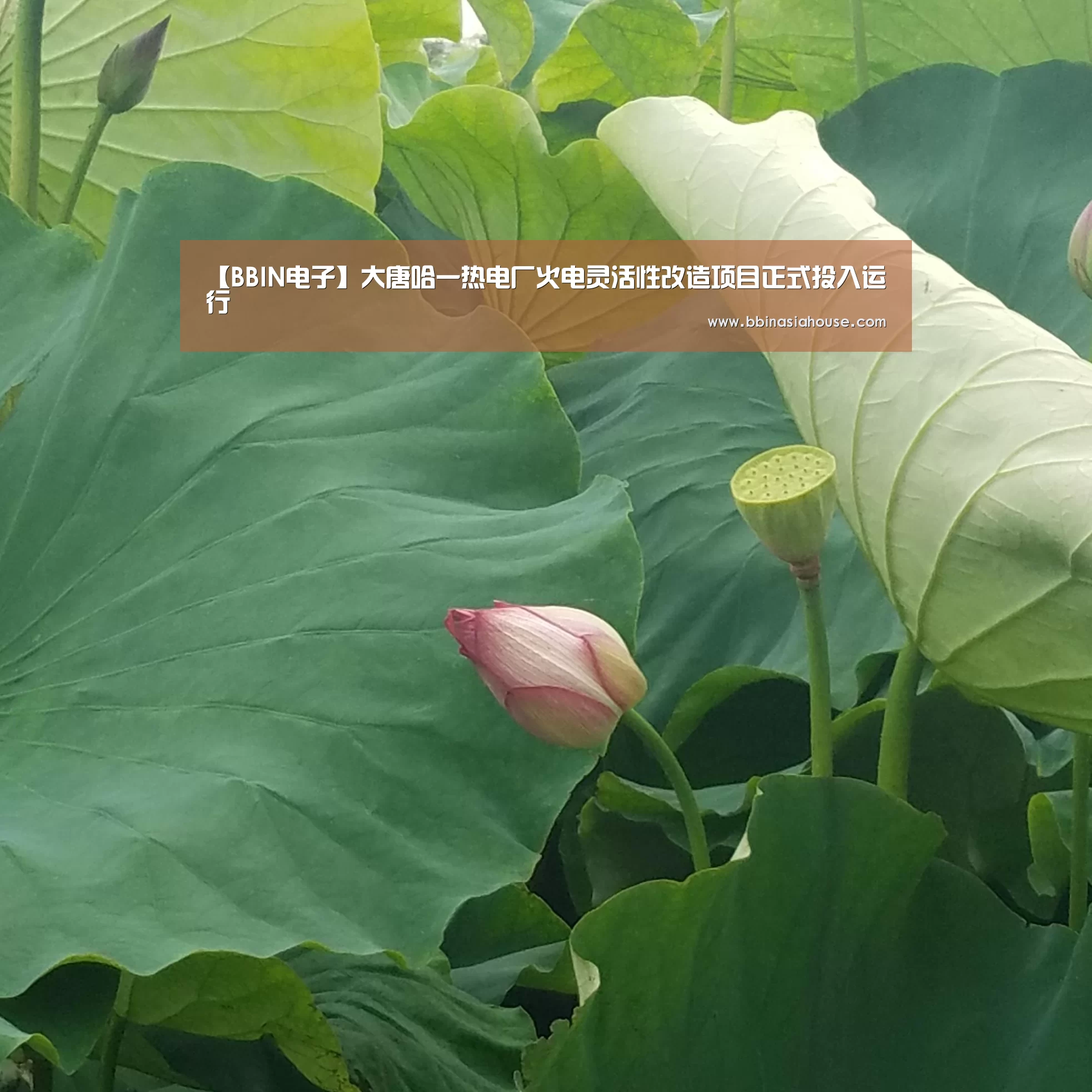 【BBIN电子】大唐哈一热电厂火电灵活性改造项目正式投入运行